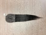 2x4 viet donor bs closure